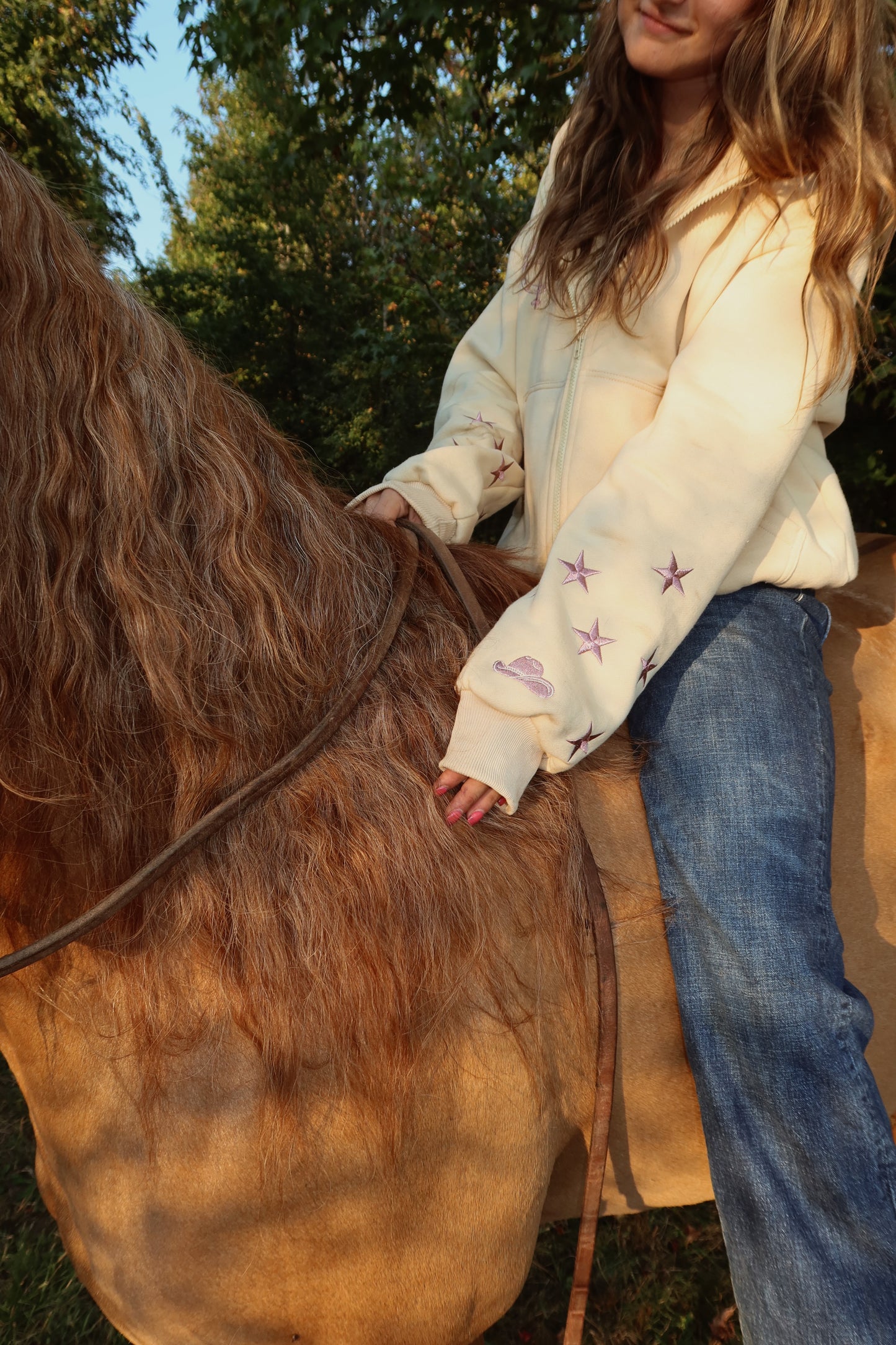 Champagne Stars Zip Up Hoodie: Western Edit w/ Metallic Embroidery