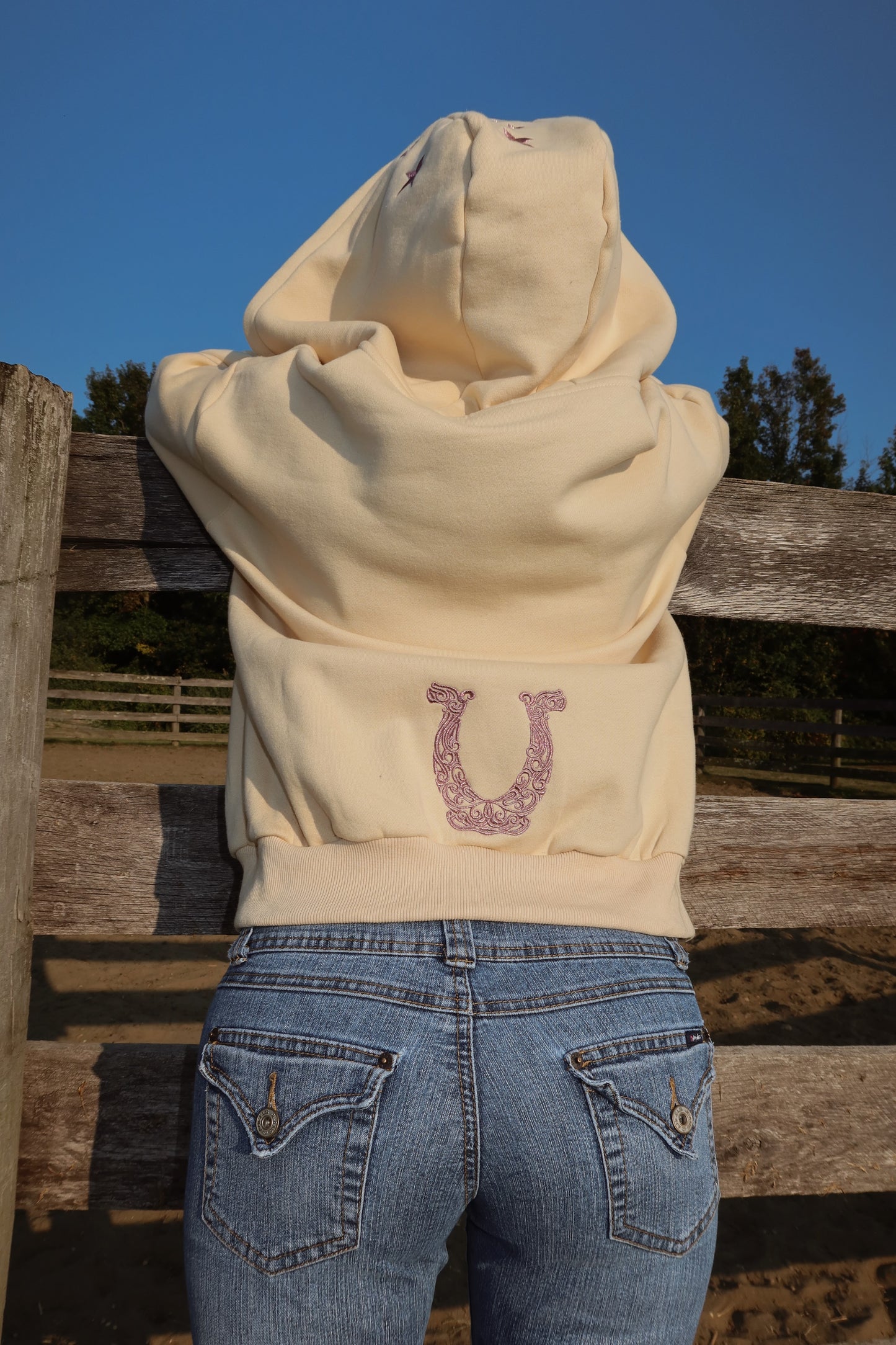 Champagne Stars Zip Up Hoodie: Western Edit w/ Metallic Embroidery