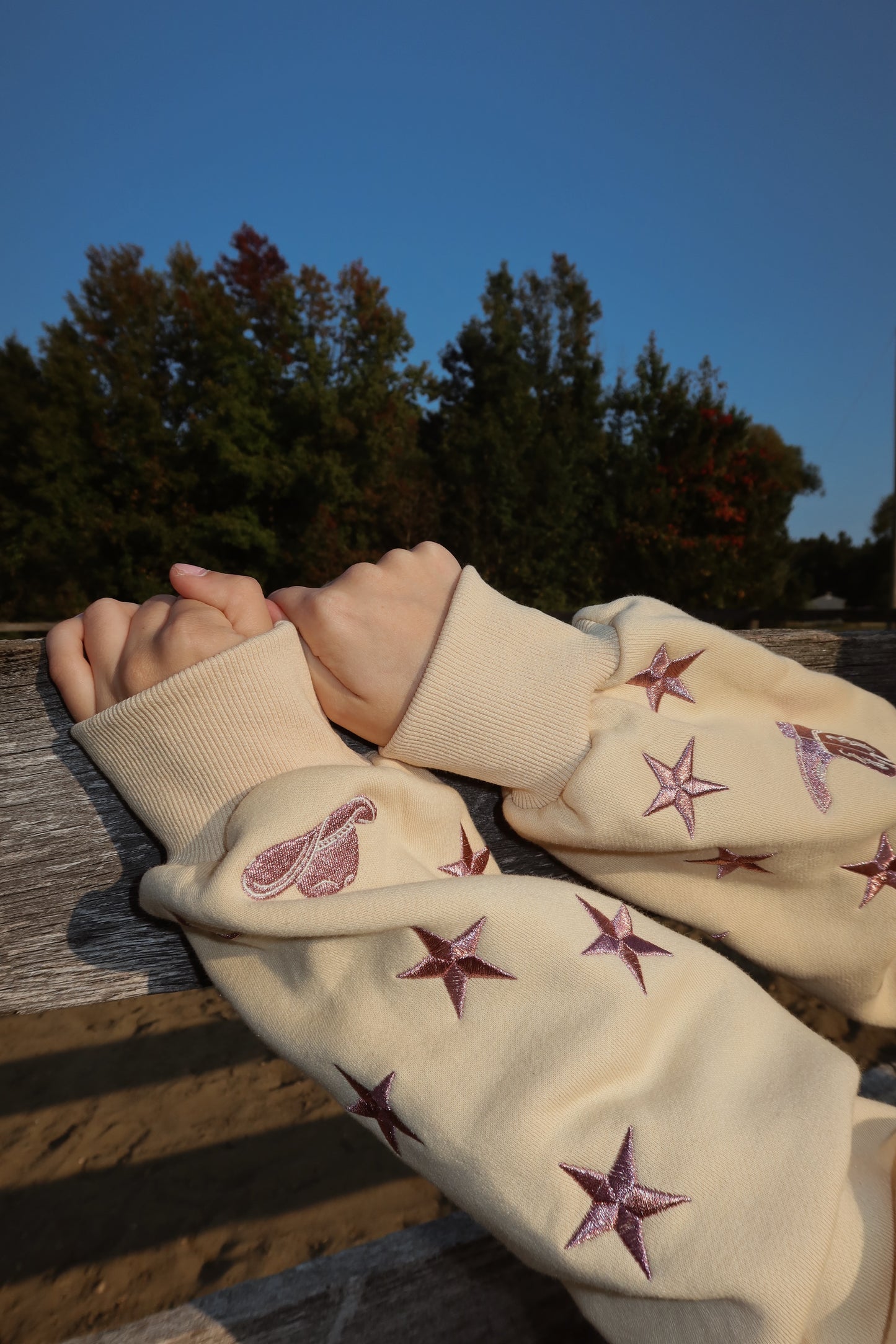 Champagne Stars Zip Up Hoodie: Western Edit w/ Metallic Embroidery